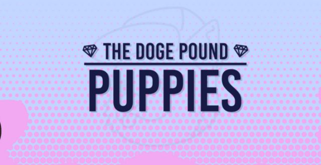 NFT Collection Doge Pound Puppies Price, Stats, and Review