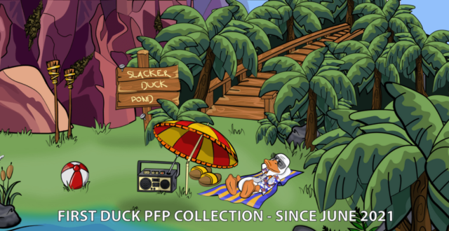 NFT Collection Slacker Duck Pond Price, Stats, and Review